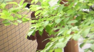 Kt-joker nhs18_00-nhs23_00 voyeur jp 150526 04